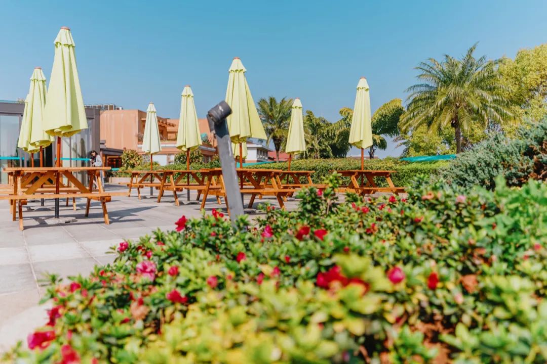 昆明周边神仙秘境,藏在昆明市内的神仙秘境