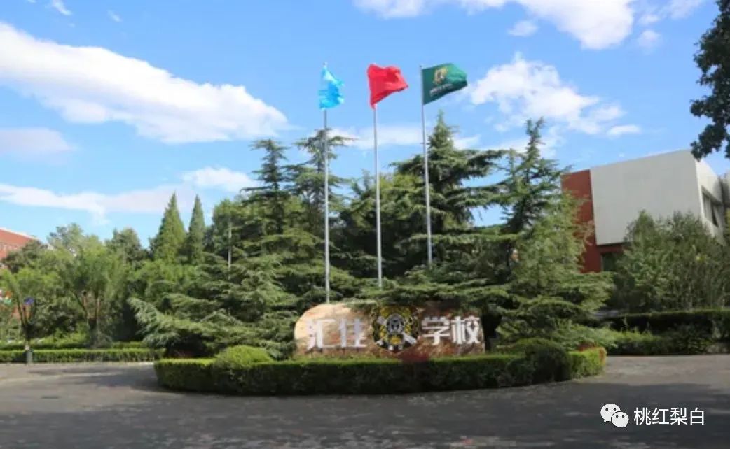 要多少钱才可以培养一个黄多多,培养一个黄多多需要多少钱