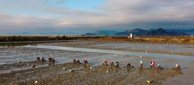 为什么叫乐清这个名字,为什么温州市有乐清市