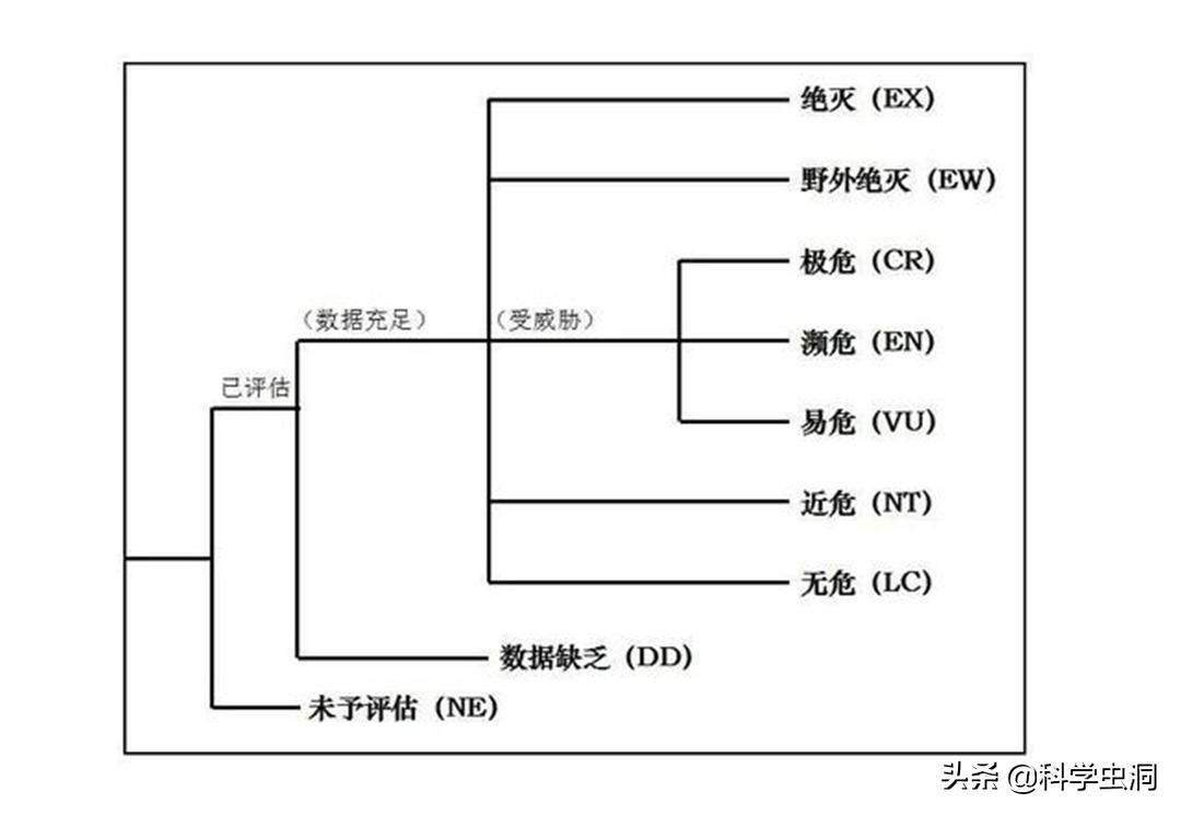 天津女子购买吊坠最终判决,天津女子购买项链吊坠获刑10年
