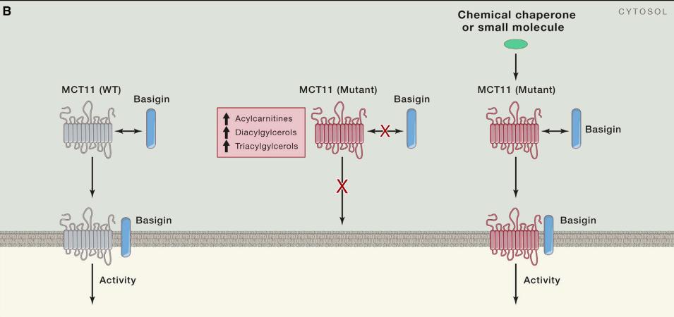 糖尿病领域诺贝尔奖,诺贝尔医学奖对医学生的启示