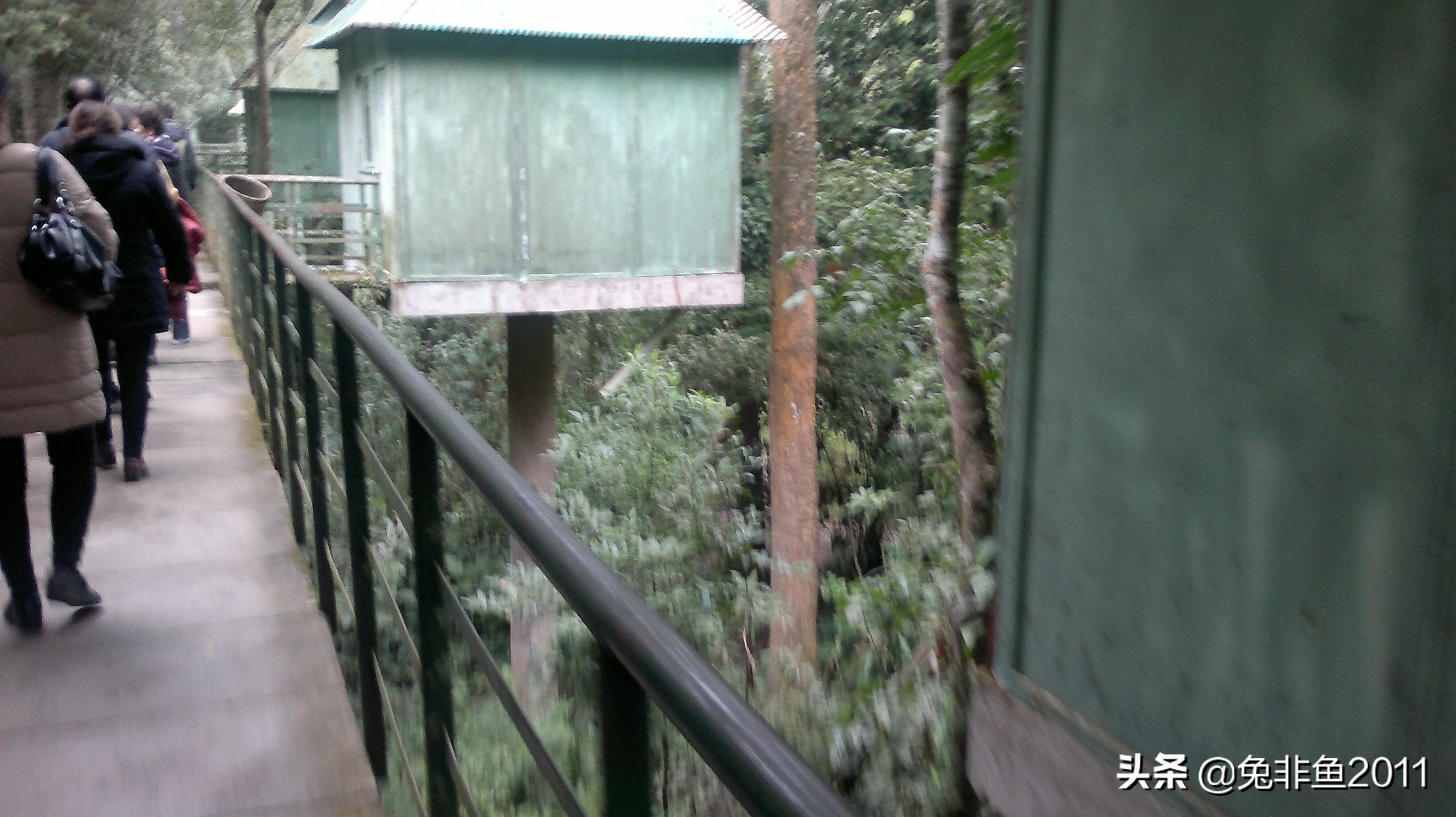 云南腾冲滇峰之旅,云南瑞丽中缅边境一日游