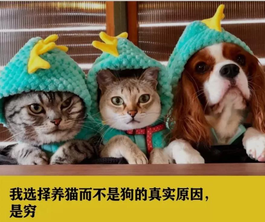 “不知体恤！”养16年消耗2万元，父亲吐槽高中女儿“太能花了”