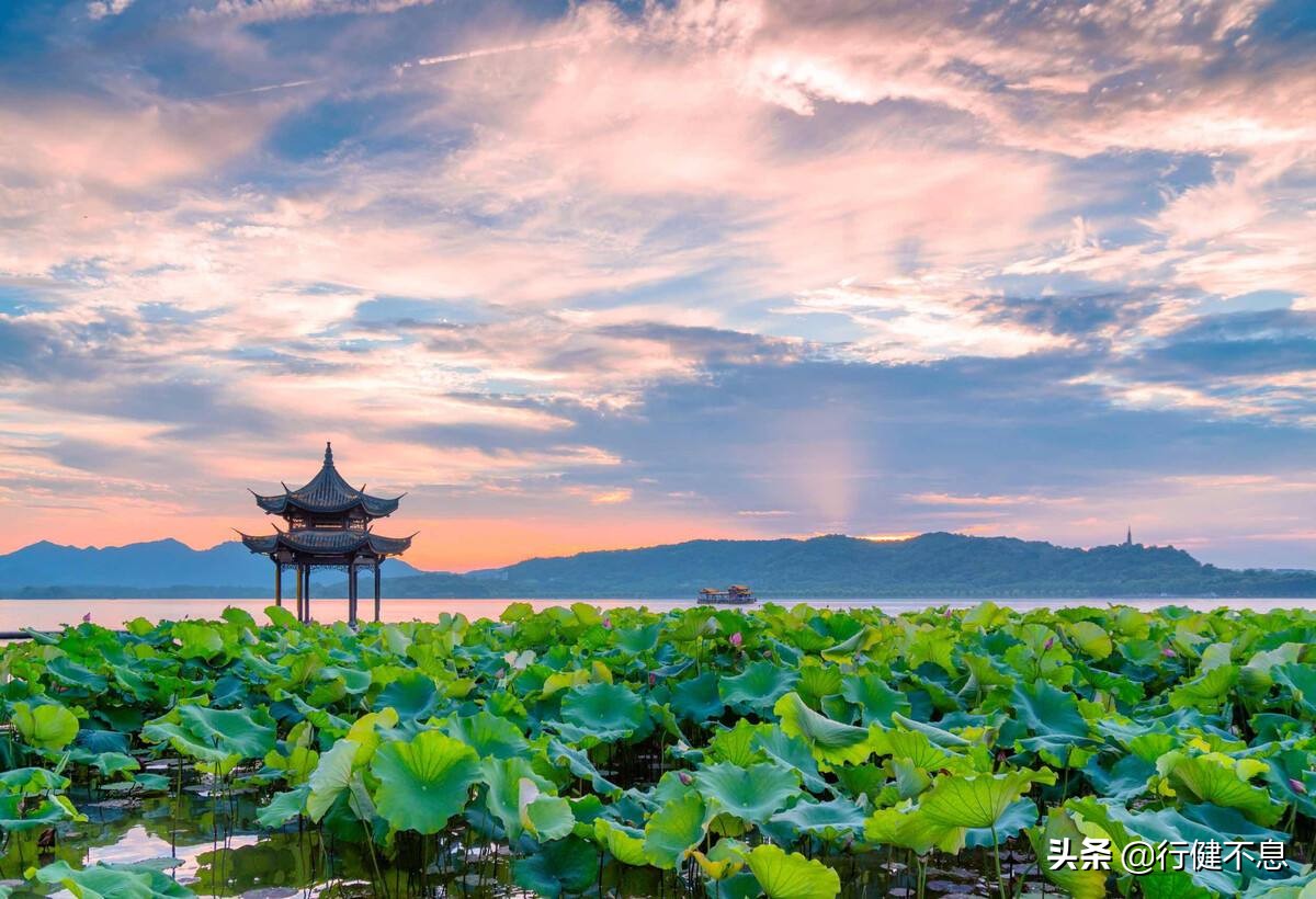 荷花十里桂三秋：十二首著名诗词，领略杭州的诗意之美