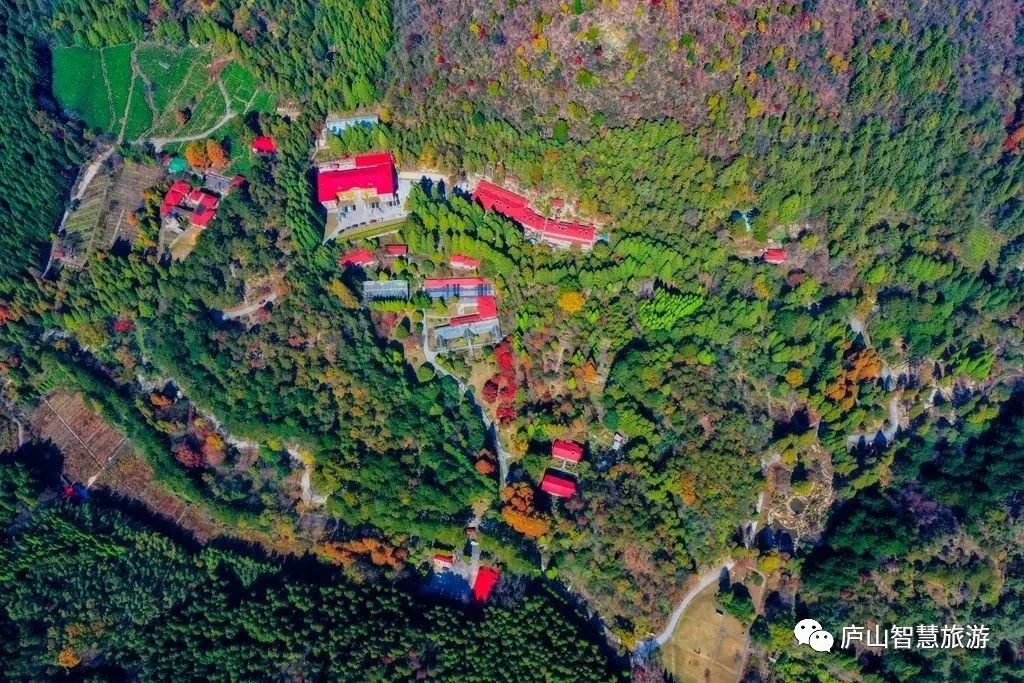 这个七月,这个七月朗读视频