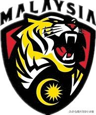 老虎代表的足球队,老虎是国内哪个足球队的队标