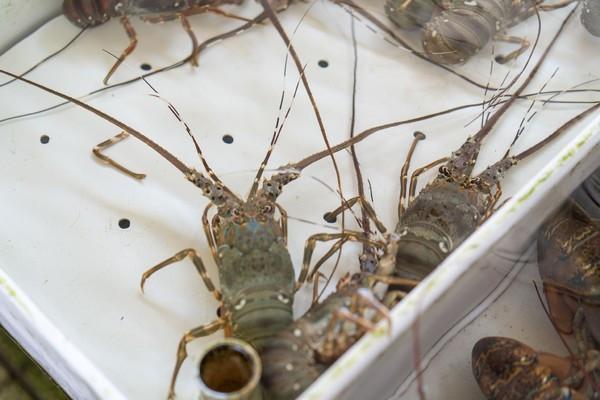 湾区光影魅力,南沙湾区超美风景线