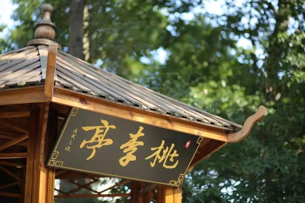 美翻了，四川高职院校风景如画，在这读书好巴适！