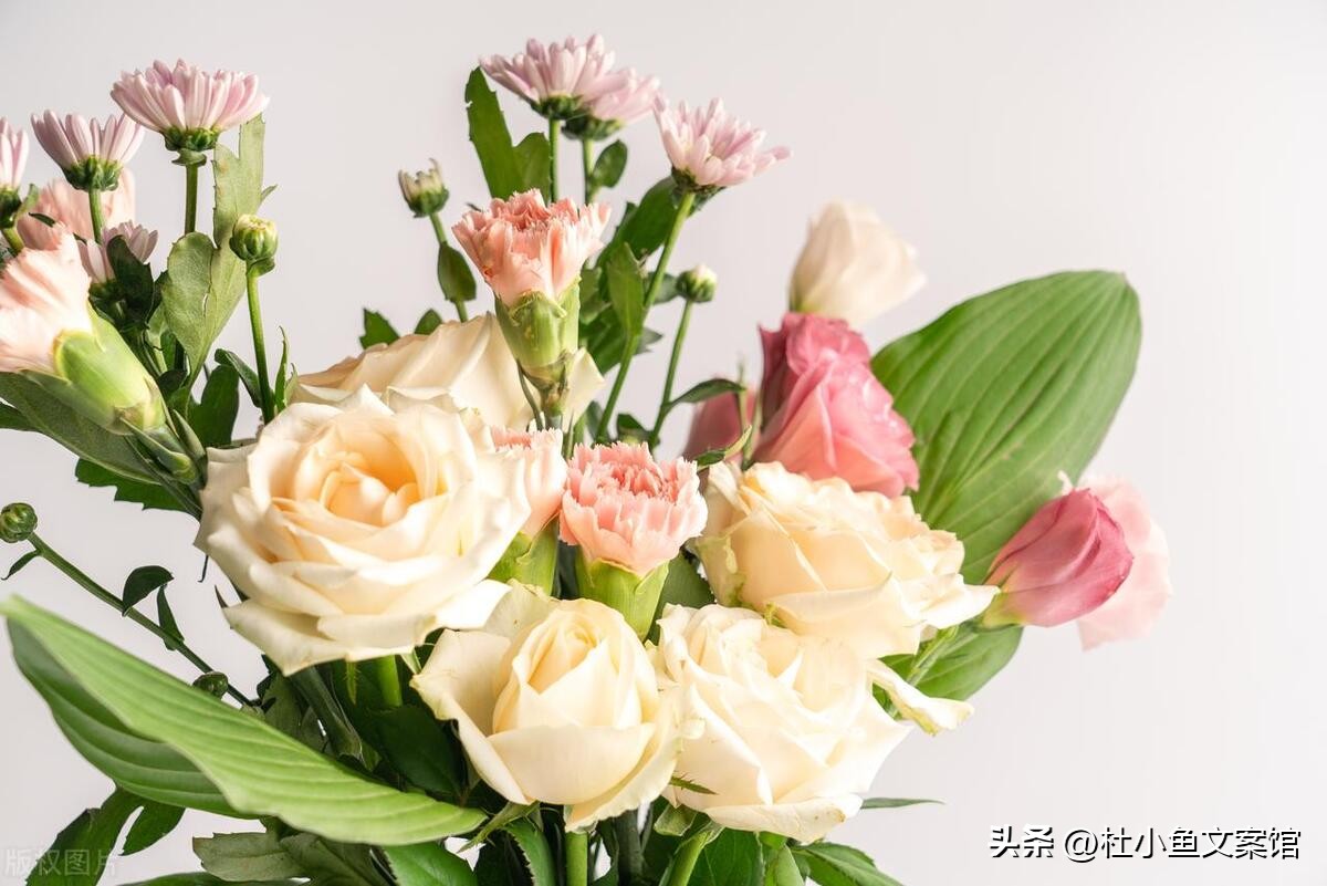 学习如何发朋友圈文案感悟和心得,发朋友圈积极自信文案高级感