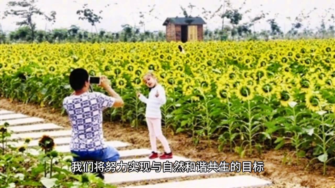 科技的进步给社会生活带来的变化,未来的世界科技视频