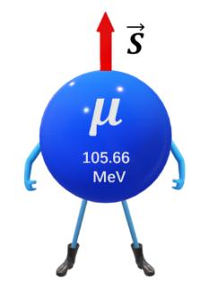 大型电子对撞机现在怎么样了,大型强子对撞机能碰撞出新元素吗