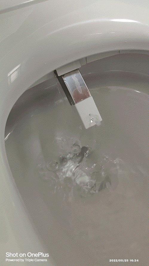 一脚踢的车你开过，一脚踢的马桶你用过吗？