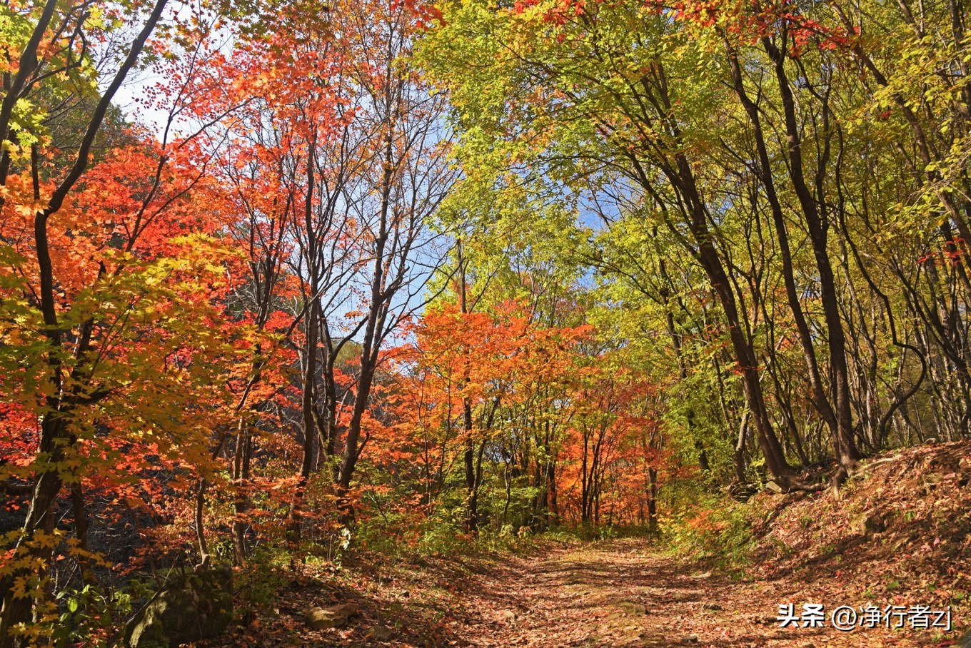 图们江口岸游记,从图们市到牡丹江自驾游