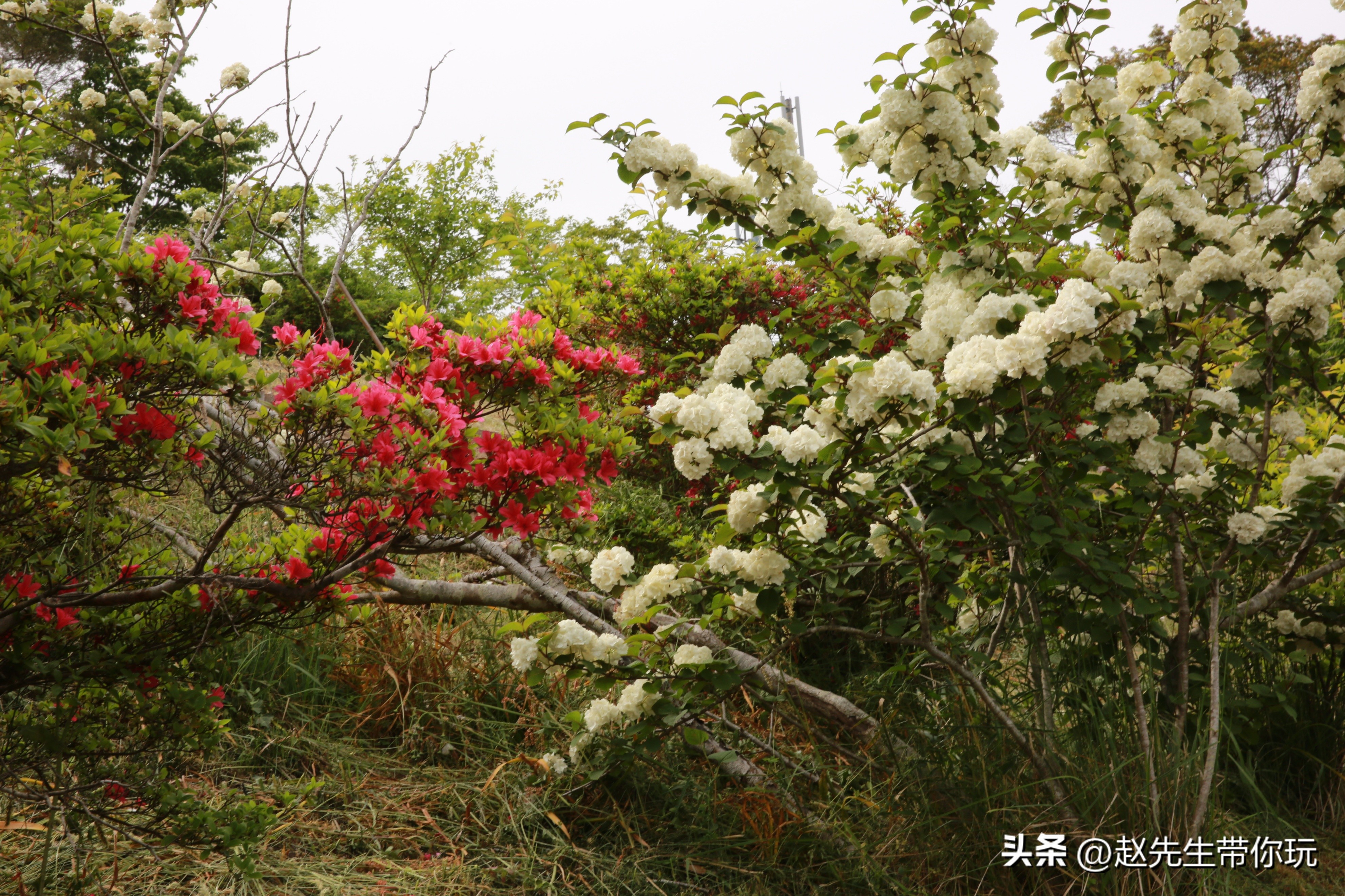 20年旅行总结,二十年游历分享