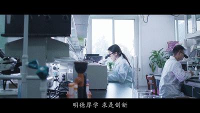 520特别的爱华中科技大学校歌官宣,武汉华中科技大学校歌视频