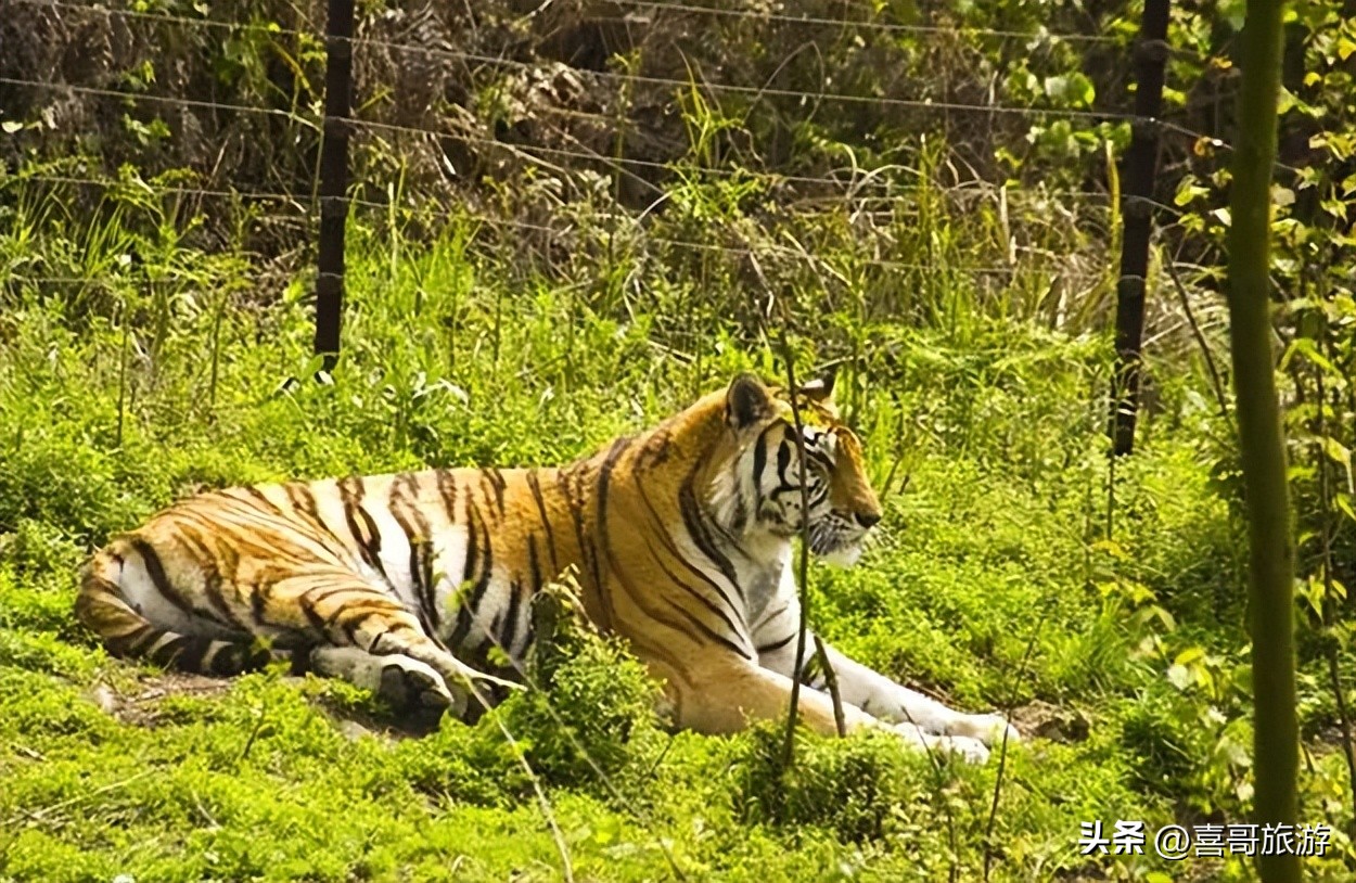 修文县附近哪里适合自驾游玩,贵阳修文哪里适合自驾游