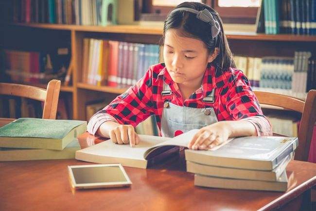 公主学习法小学生,公主学习法高中生