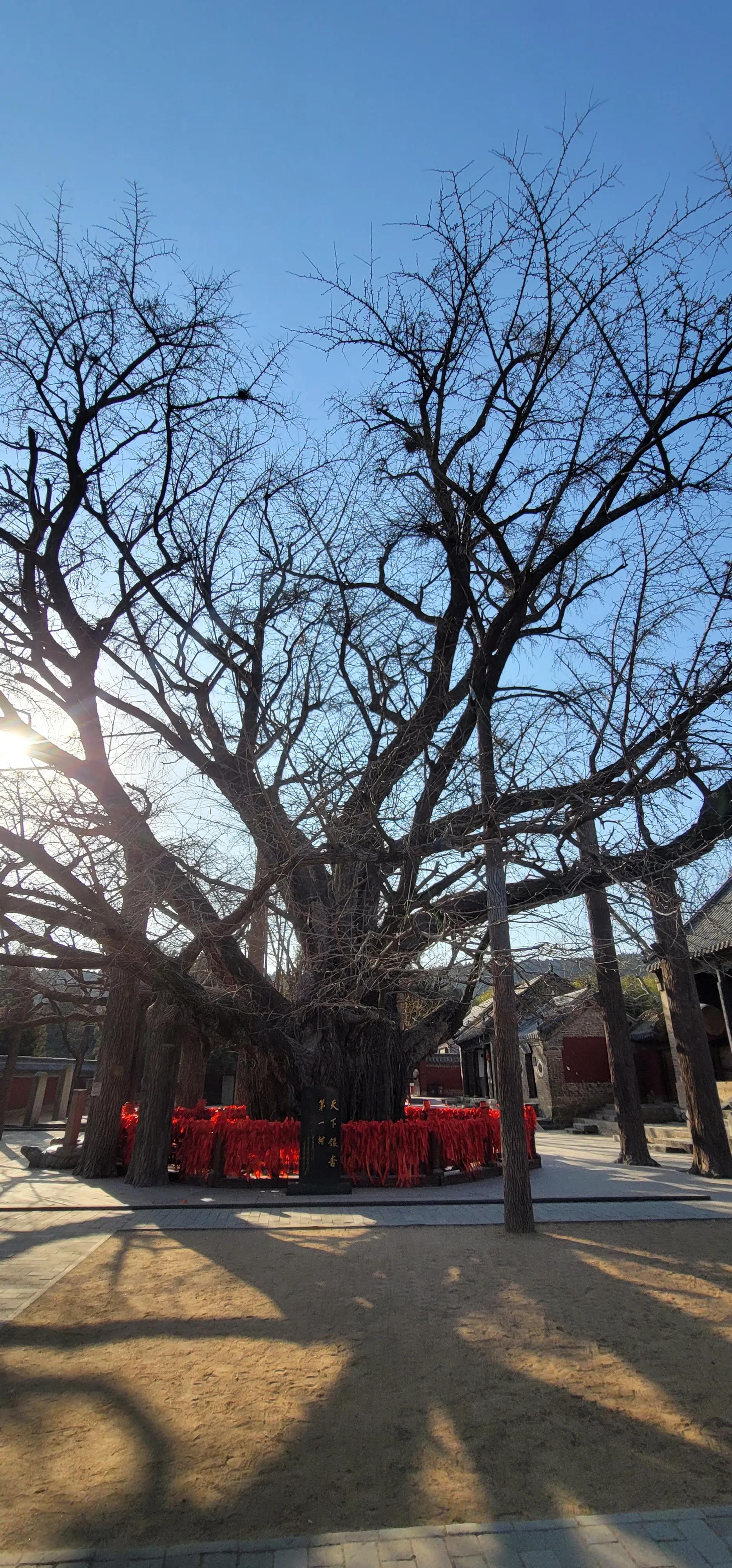 开着沪牌回老家怎么样,开着大巴玩转江浙沪