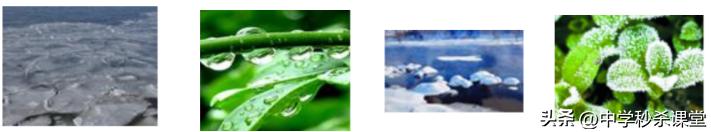 中考总复习物理物态变化,中考物理考点速记总复习物态变化