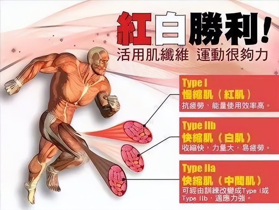 鲭鱼是发物吗能吃吗,鲭鱼有什么危害