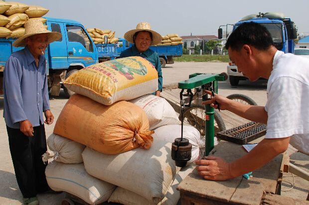 养殖亏本有多严重,农村养殖创业亏了多少