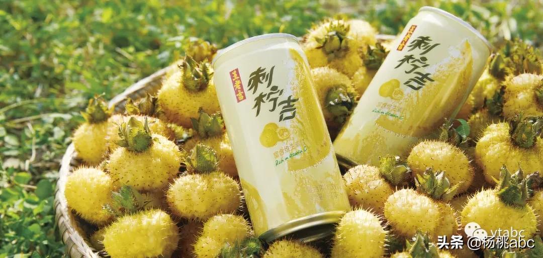 不吃颗“糖”睡不着，这届年轻人到底是养生还是嘴馋？