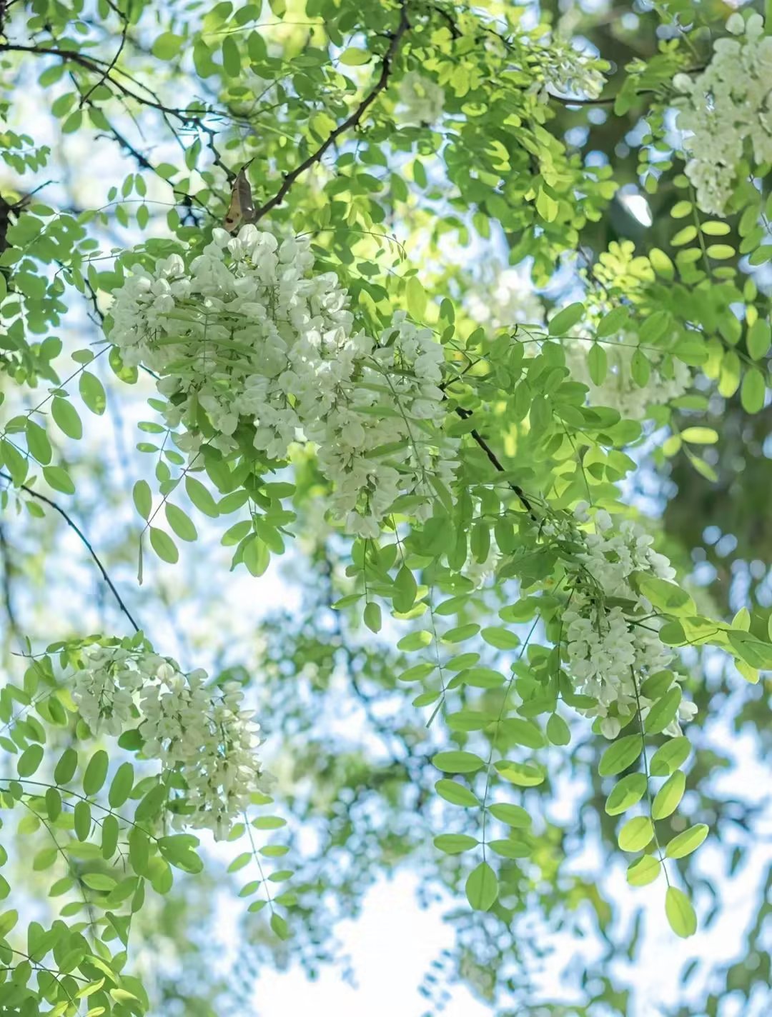 品过人生百味方知人情冷暖,余生不慌不忙不急不躁不悲不喜