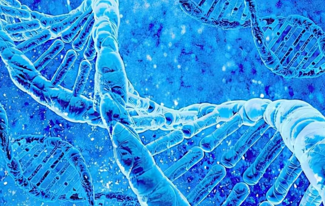 阴毛有什么用？越来越少了意味着啥？到底能不能刮？医生讲出实情