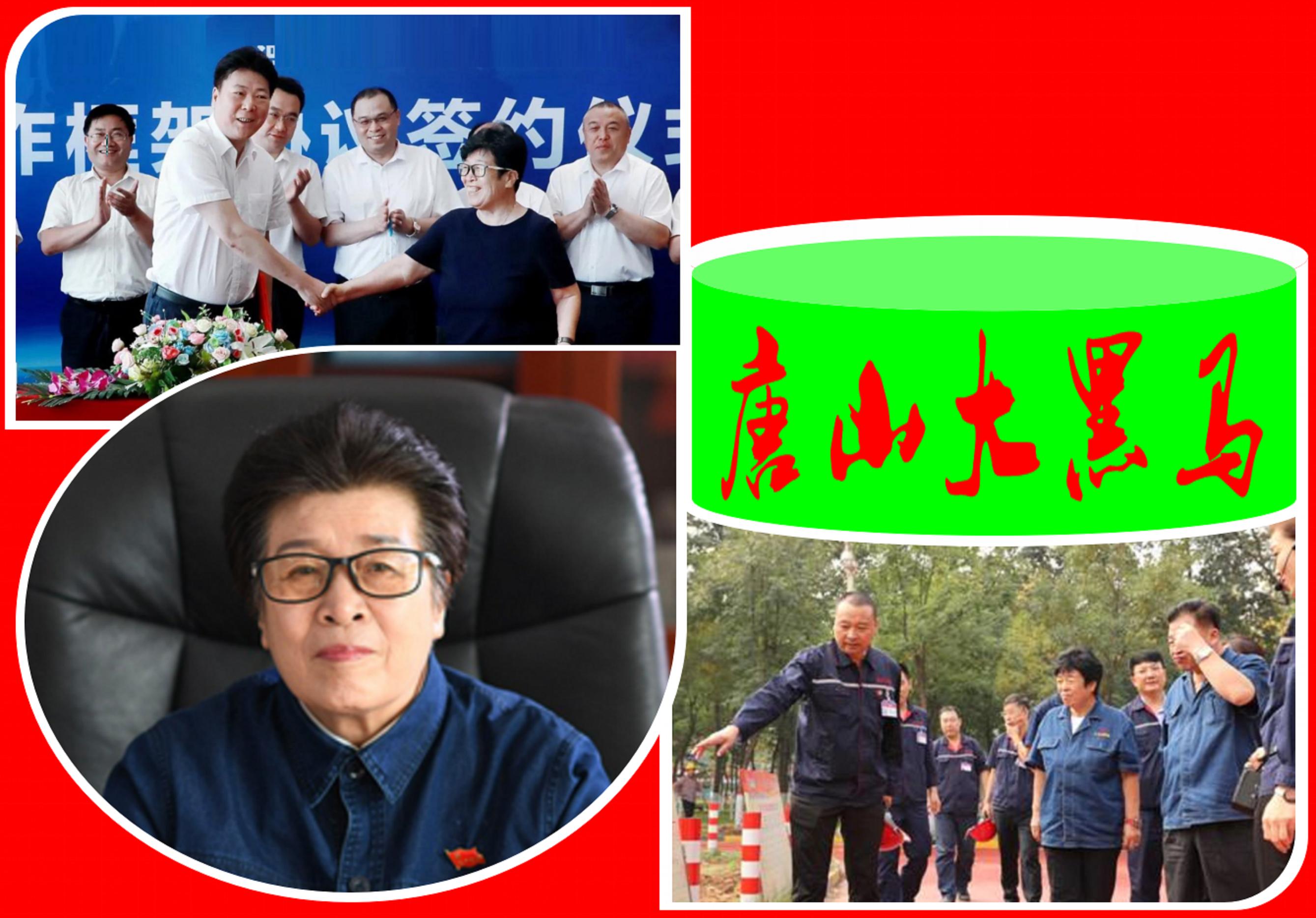 唐山第4匹“大黑马”：年仅19岁，坐拥9家企业，年入345.45亿