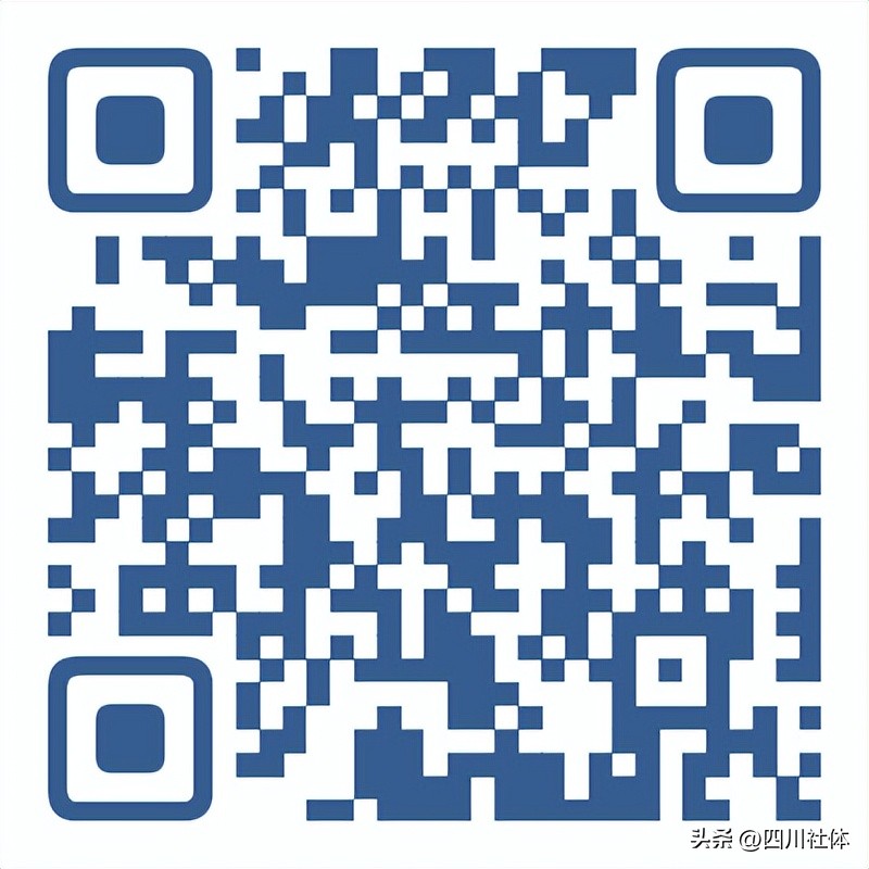 第三届川籍农民工运动会象棋比赛,第四届农民工运动会