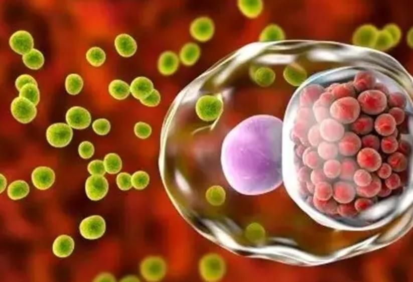 6种通过“性传播”的疾病，你知道几种？私生活别太大意