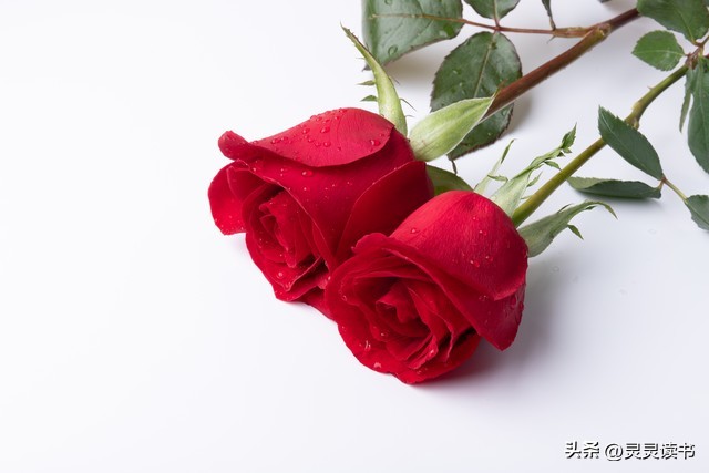 我的极简生活精简物品之卫浴,我的极简生活第26天