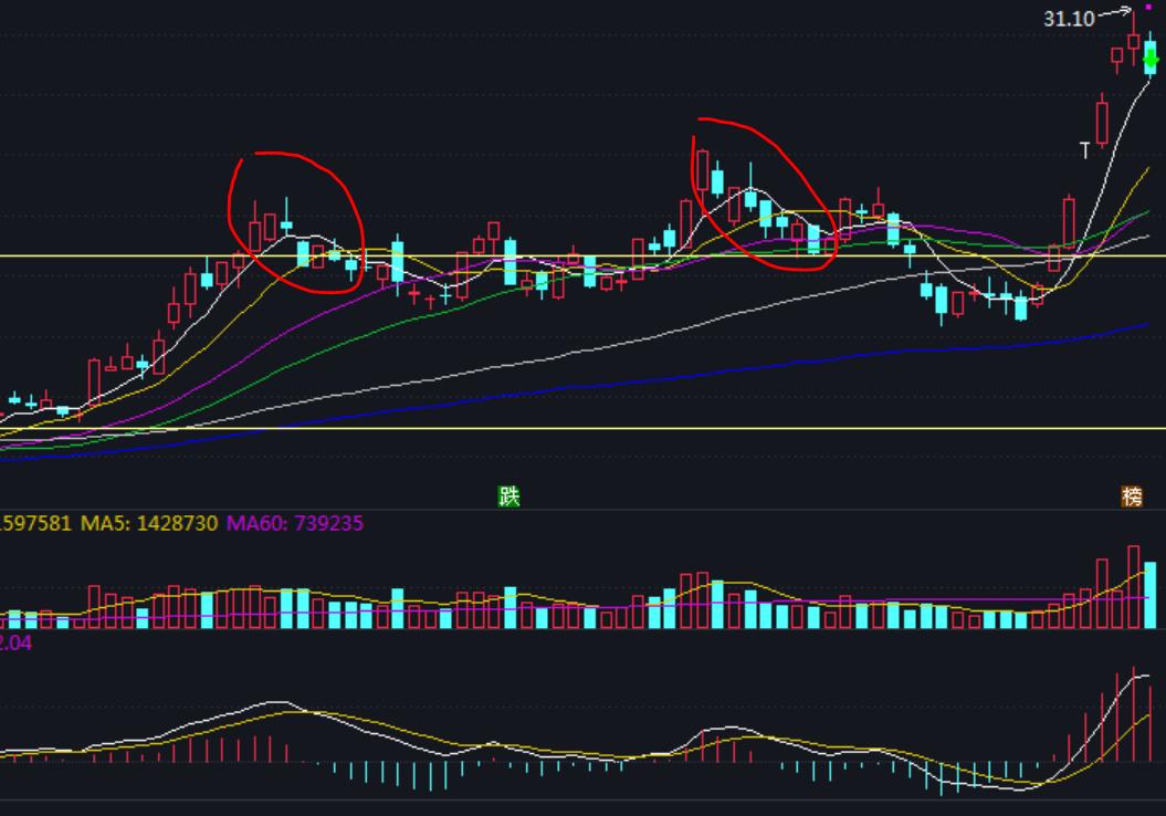 随心动含义,随心意交易软件怎么样