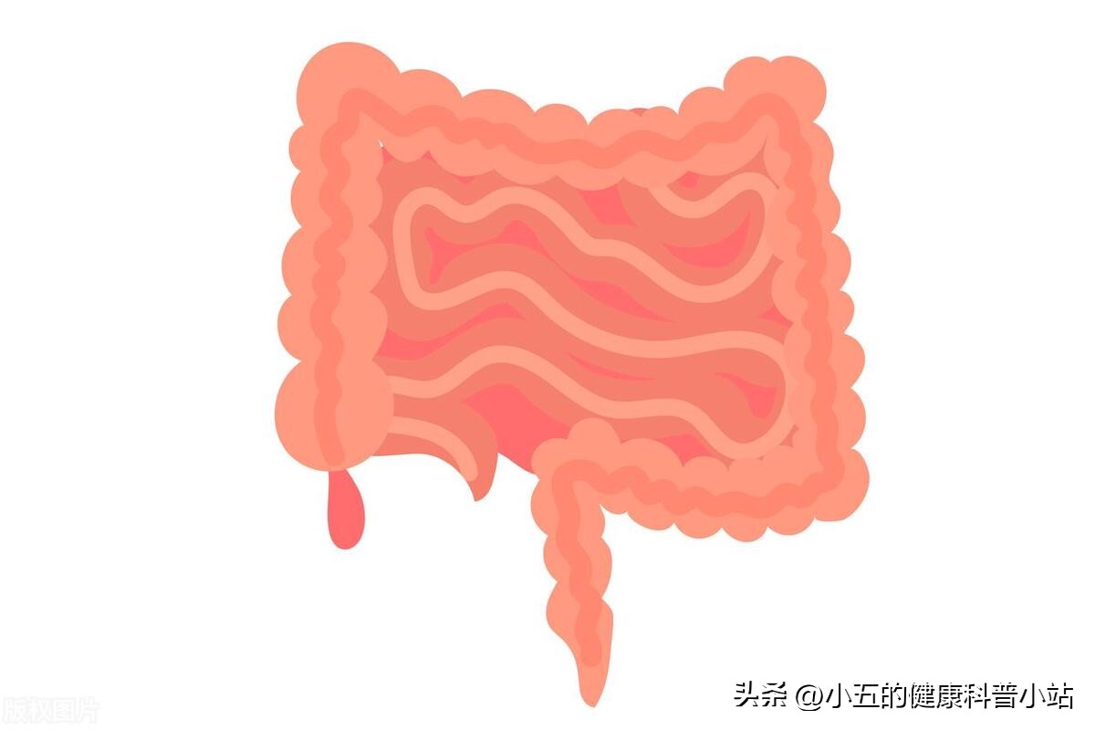 功能性消化不良吃莫沙必利多久,莫沙必利治疗什么病