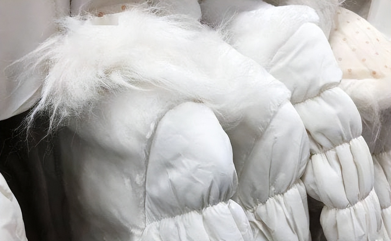 辽宁女子花6400元买羽绒服却无法退货,淘宝客服:商家保证金不足