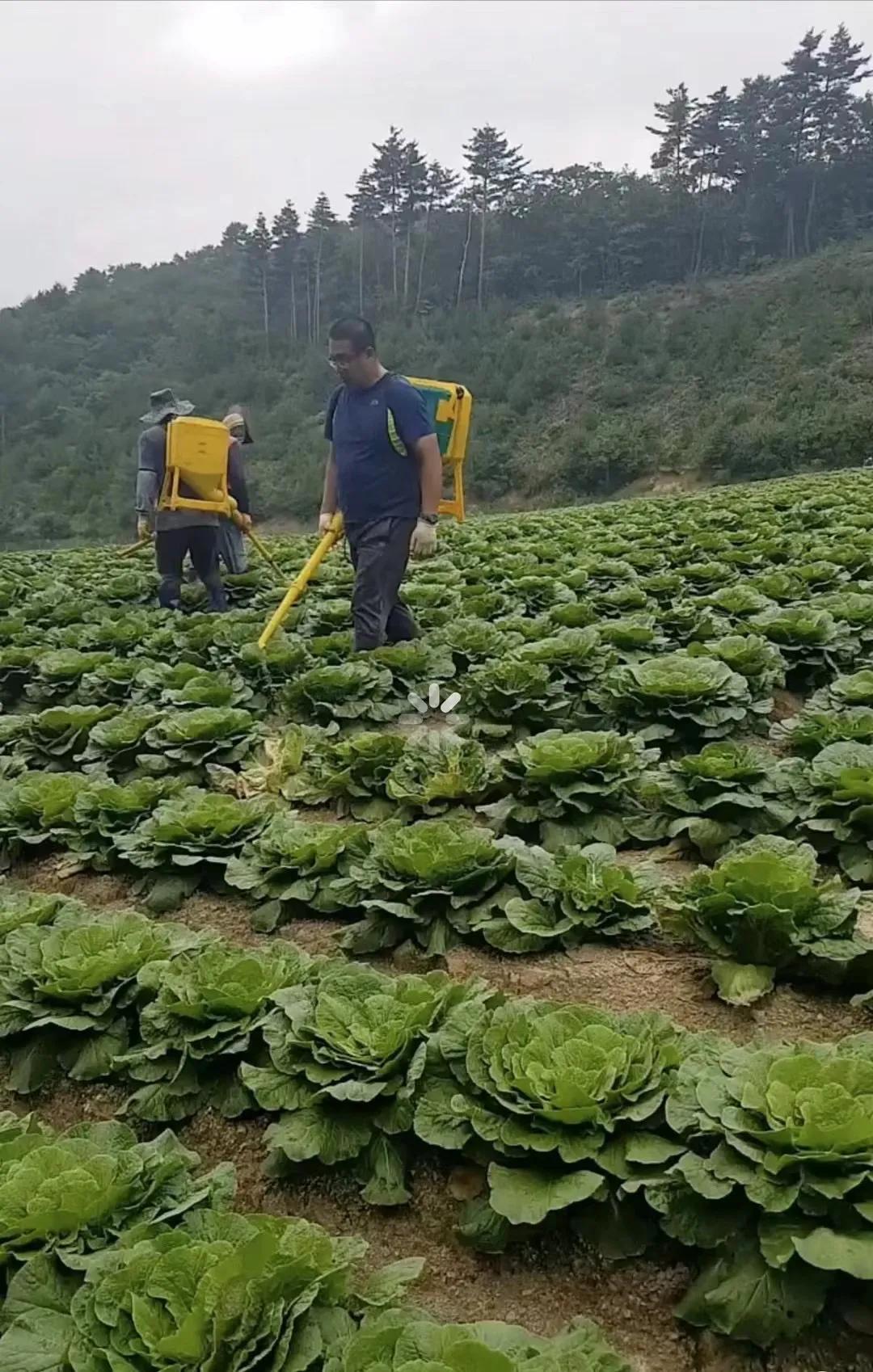 韩国旅游打工,去韩国打工好还是去澳洲打工好