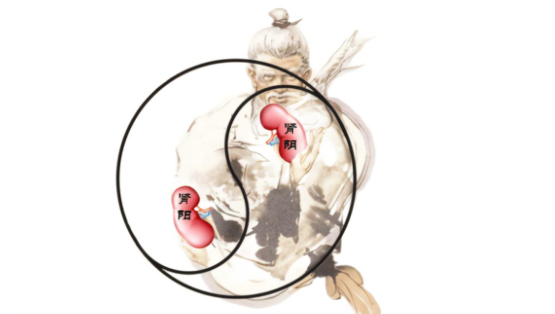 耳鸣的危害小常识图片,耳鸣要警惕三种疾病