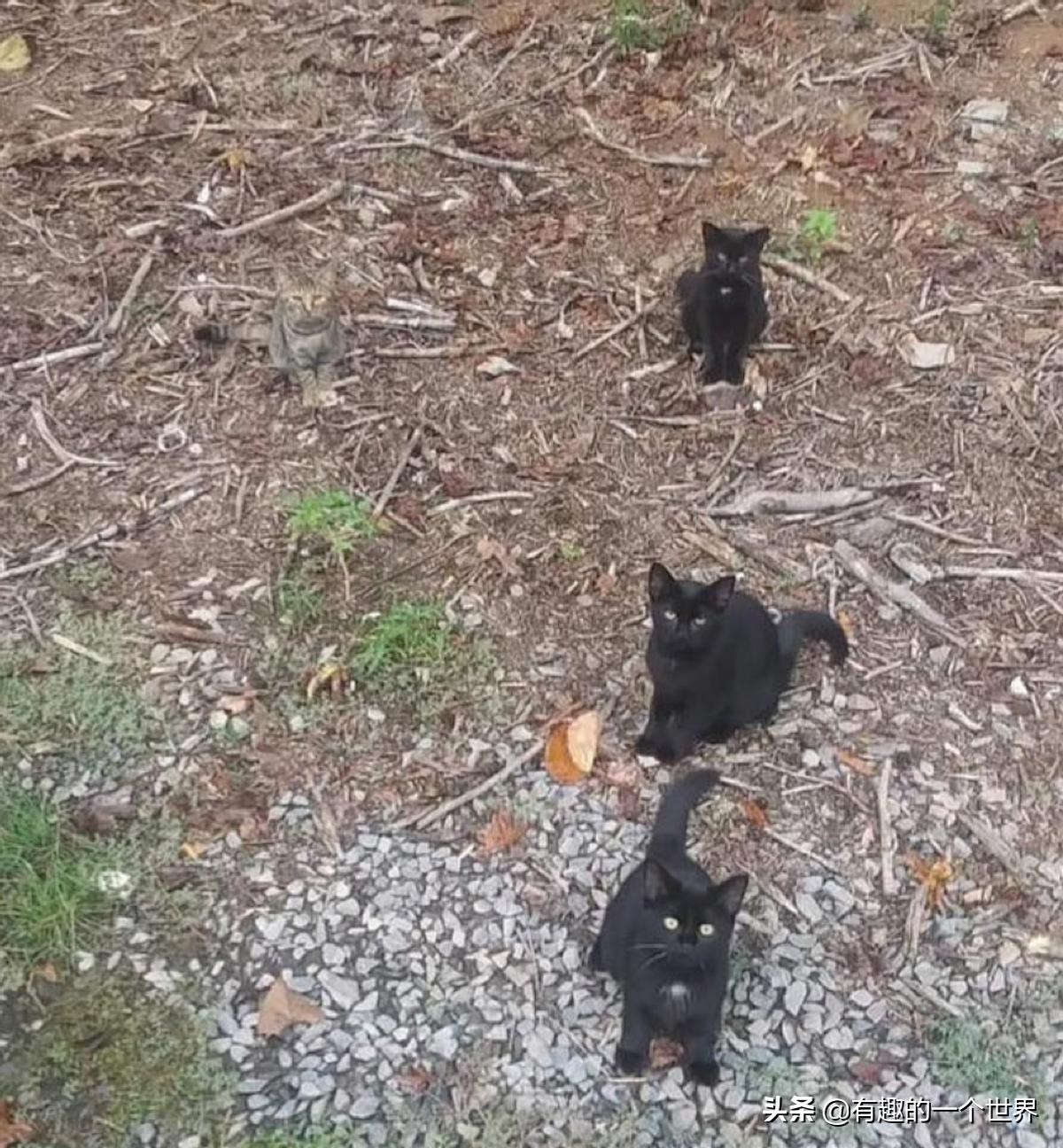 偶然记录的33个瞬间，初看很困惑，看懂后又觉得很妙