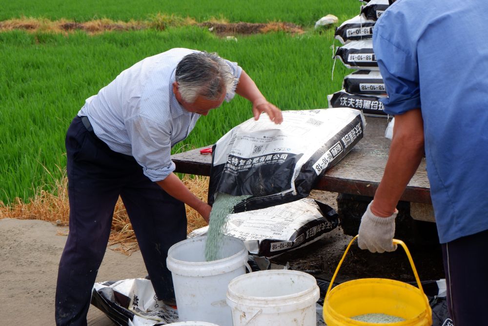 新金融服务乡村振兴学习心得,最新金融支持乡村振兴政策