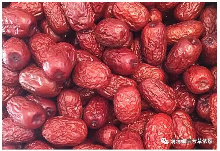 我家的枣树二年级上册阅读,我家的枣树一年级阅读理解