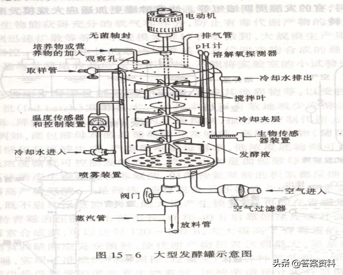 发酵工程期末复习资料 (发酵工程知识点填空总结)