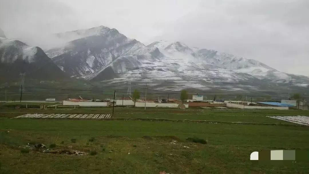 青海湖自驾一圈需要多久,环游青海湖自驾游攻略