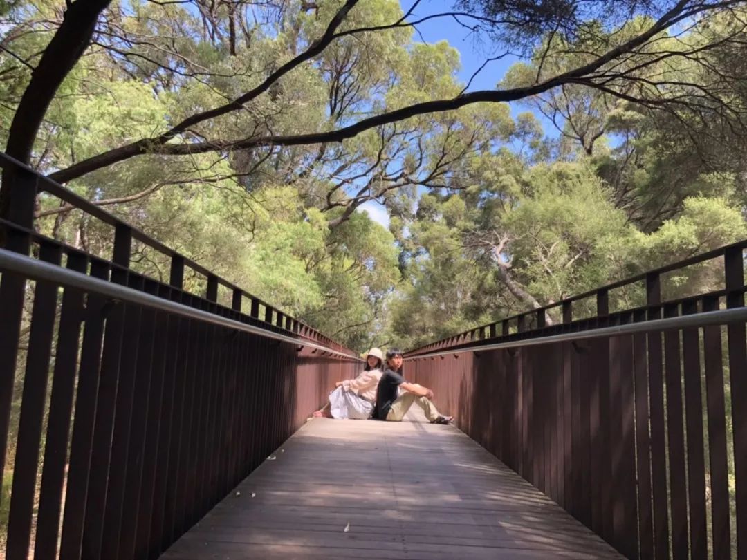 第五情书,异国恋情书