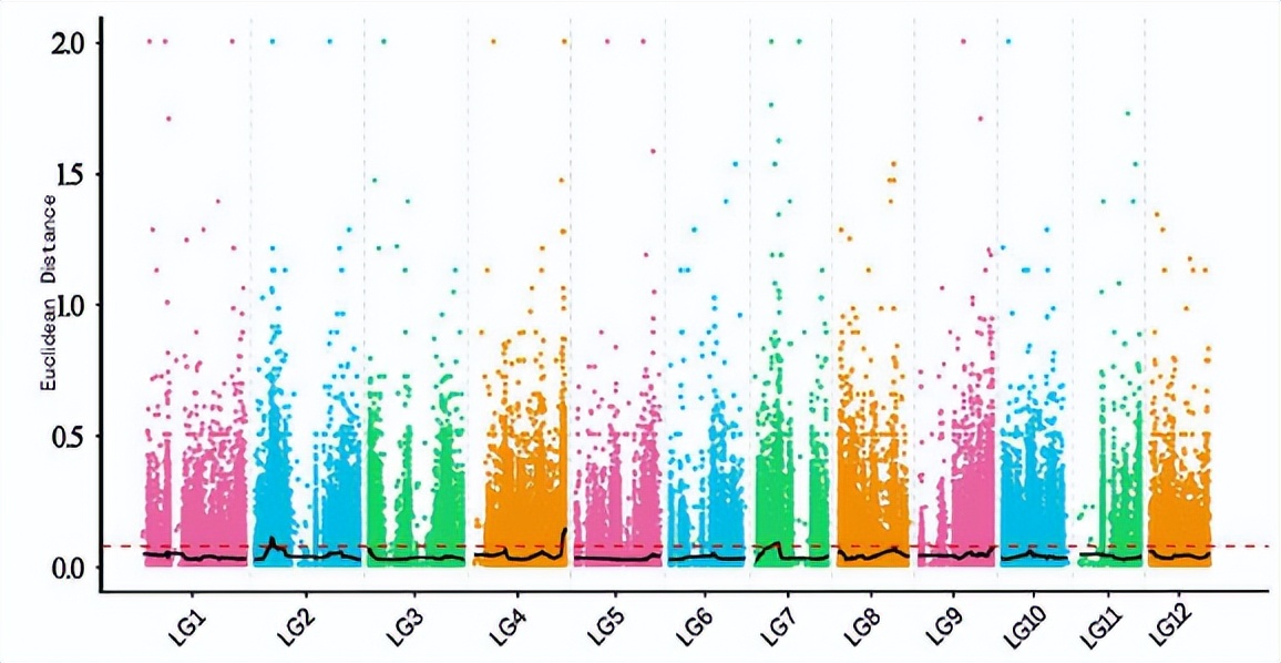 冬瓜果实的类型,冬瓜种子外形特点