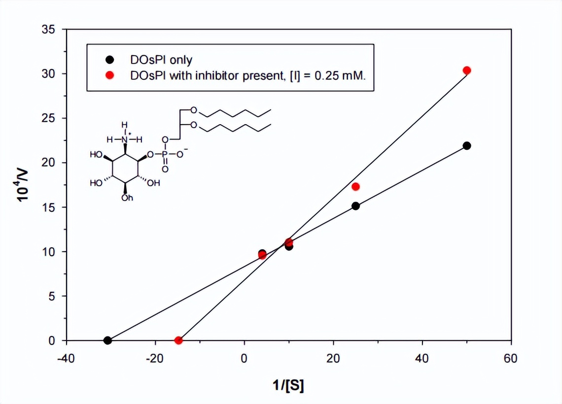 染色质组装和调控对酶活性的要求都有哪些