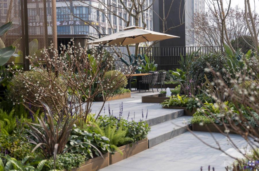 成都越秀天悦云萃对比中环臻邸,越秀成都天悦云萃