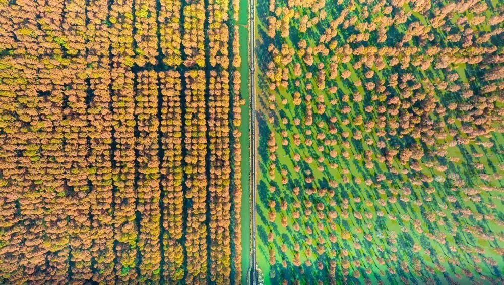 2022新洲文旅精彩不断，2023诗与远方步履不停