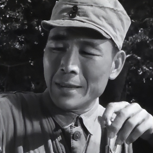 关于革命的小说红日简介,长篇小说红日沈振新的原型是谁