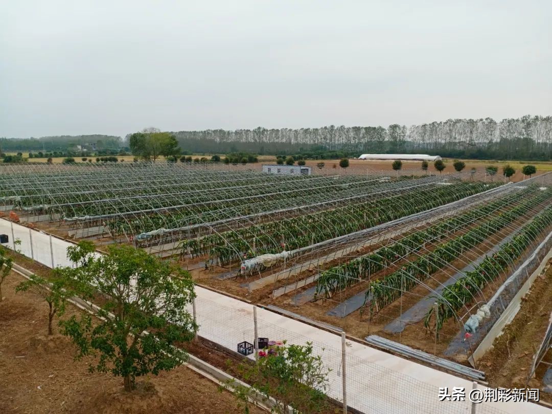 绘就新画卷领略乡村美,石首画卷