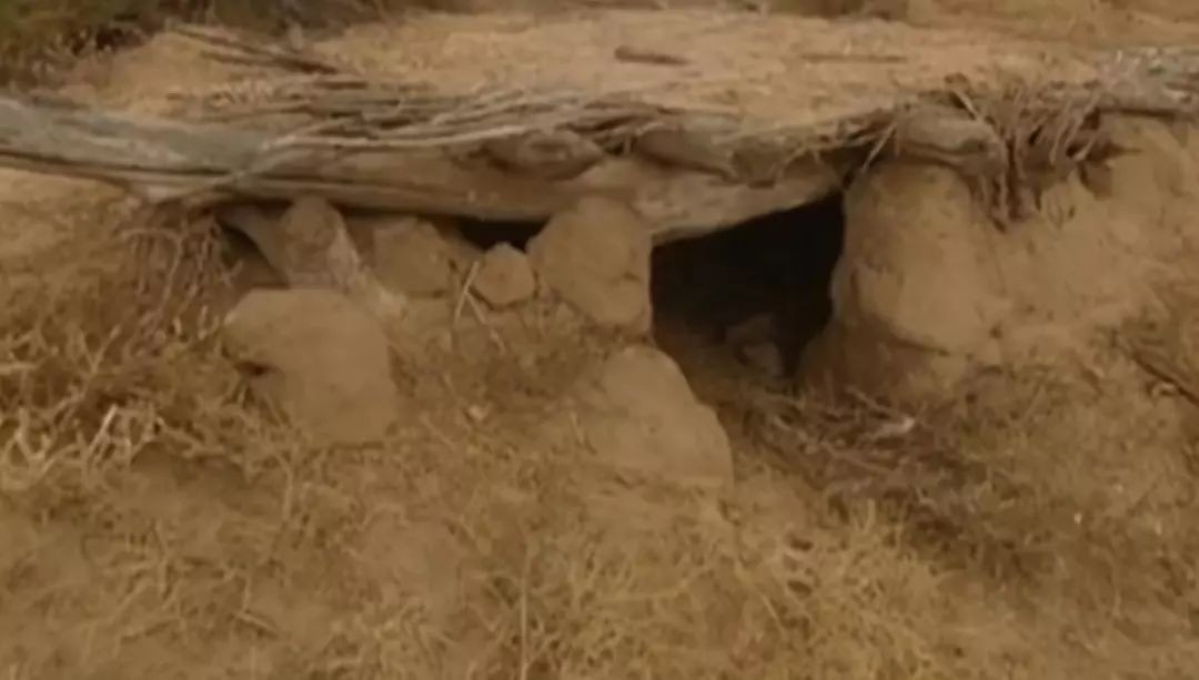 19岁的女儿被迫嫁到沙漠,19岁被迫嫁进沙漠